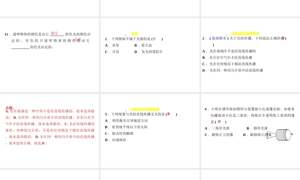 （安徽专版）八年级物理上册 3.1 光世界巡行习题课件 （新版）粤教沪版-（新版）粤教沪版初中八年级上册物理课件