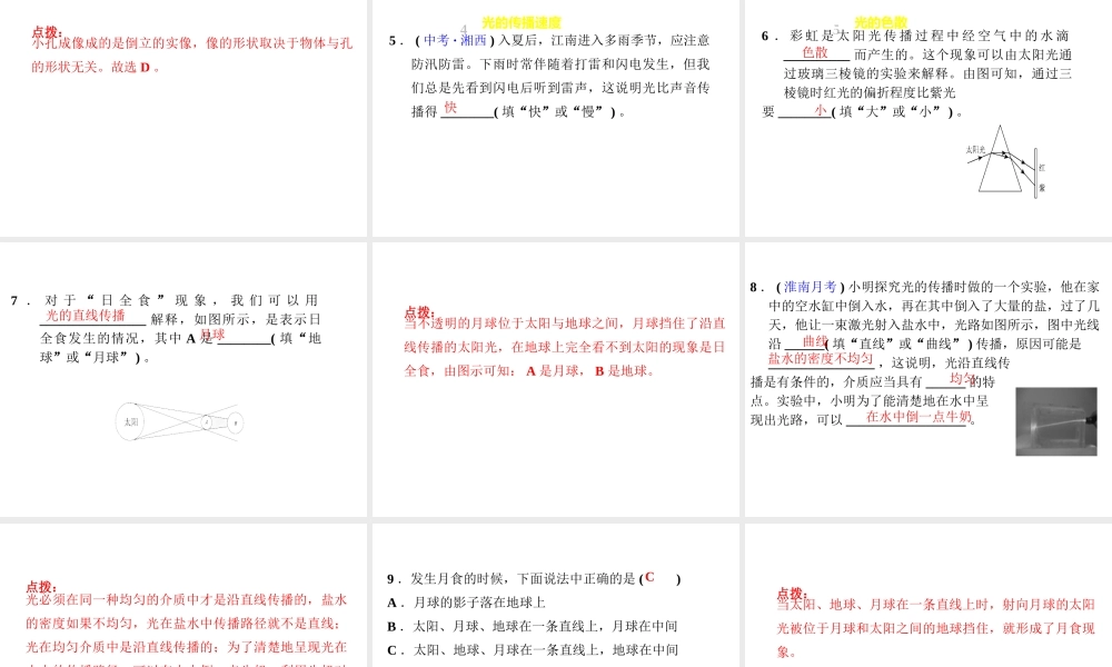 （安徽专版）八年级物理上册 3.1 光世界巡行习题课件 （新版）粤教沪版-（新版）粤教沪版初中八年级上册物理课件