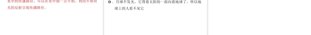 （安徽专版）八年级物理上册 3.1 光世界巡行习题课件 （新版）粤教沪版-（新版）粤教沪版初中八年级上册物理课件