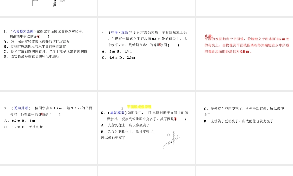 （安徽专版）八年级物理上册 3.3 平面镜成像特点习题课件 （新版）粤教沪版-（新版）粤教沪版初中八年级上册物理课件