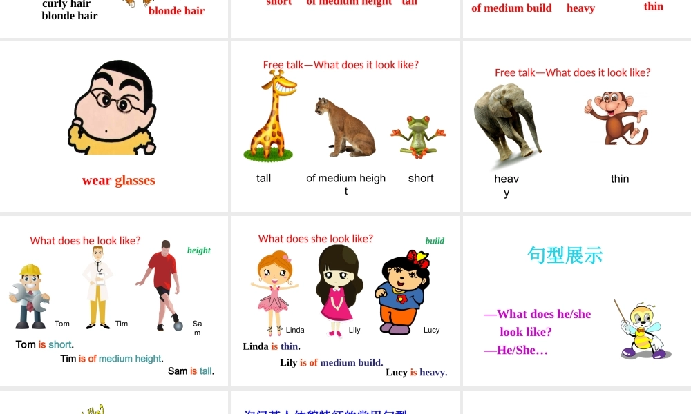 （安徽专版）春七年级英语下册 Unit 9 What does he look like Section A（第1课时）教学课件 （新版）人教新目标版-（新版）人教新目标版初中七年级下册英语课件