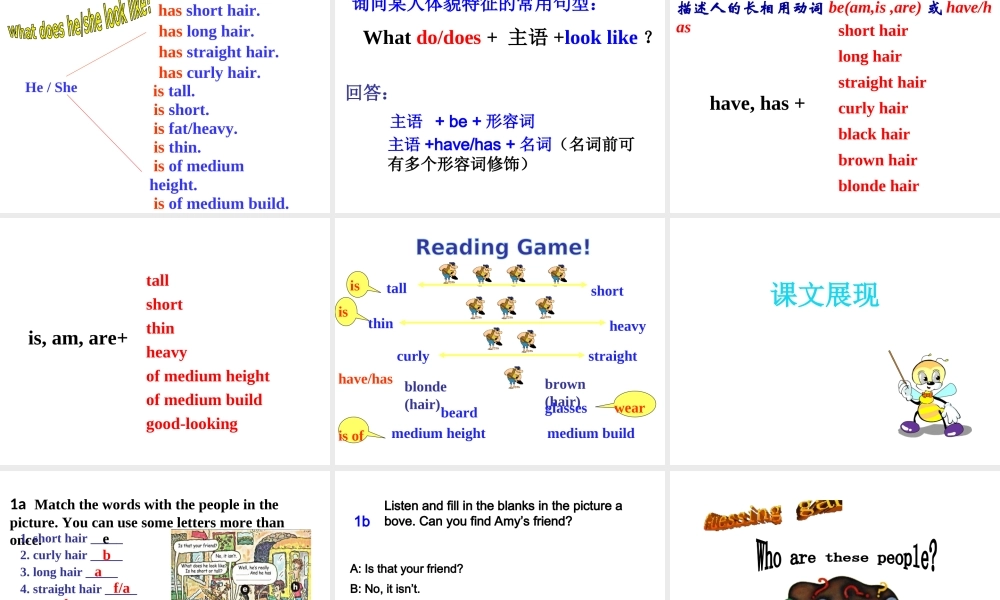 （安徽专版）春七年级英语下册 Unit 9 What does he look like Section A（第1课时）教学课件 （新版）人教新目标版-（新版）人教新目标版初中七年级下册英语课件