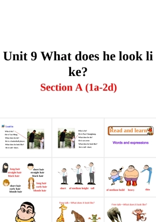 （安徽专版）春七年级英语下册 Unit 9 What does he look like Section A（第1课时）教学课件 （新版）人教新目标版-（新版）人教新目标版初中七年级下册英语课件