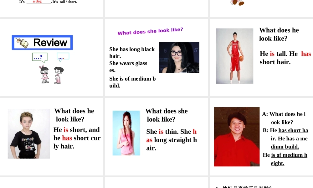 （安徽专版）春七年级英语下册 Unit 9 What does he look like Section A（第2课时）教学课件 （新版）人教新目标版-（新版）人教新目标版初中七年级下册英语课件