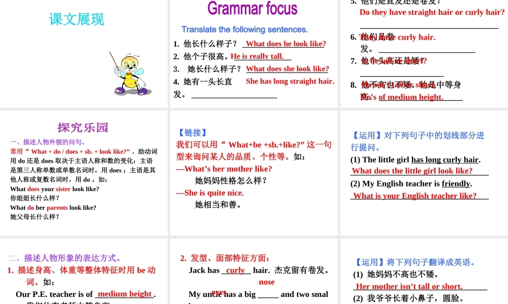 （安徽专版）春七年级英语下册 Unit 9 What does he look like Section A（第2课时）教学课件 （新版）人教新目标版-（新版）人教新目标版初中七年级下册英语课件