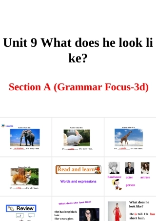 （安徽专版）春七年级英语下册 Unit 9 What does he look like Section A（第2课时）教学课件 （新版）人教新目标版-（新版）人教新目标版初中七年级下册英语课件