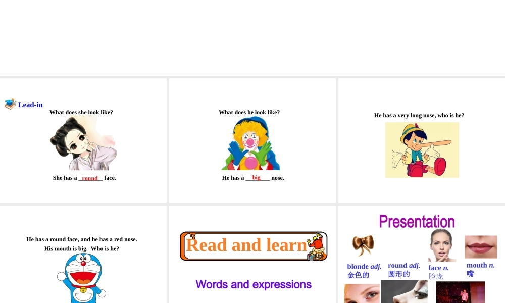 （安徽专版）春七年级英语下册 Unit 9 What does he look like Section B（第1课时）教学课件 （新版）人教新目标版-（新版）人教新目标版初中七年级下册英语课件