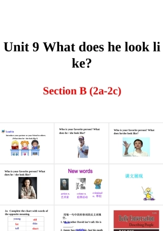 （安徽专版）春七年级英语下册 Unit 9 What does he look like Section B（第2课时）教学课件 （新版）人教新目标版-（新版）人教新目标版初中七年级下册英语课件