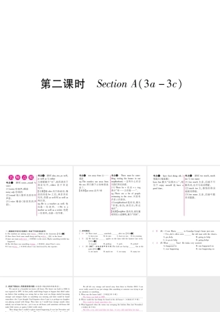 （安徽专版）秋九年级英语全册 Unit 8 It must belong to Carla（第2课时）Section A（3a-3c）习题课件 （新版）人教新目标版-（新版）人教新目标版初中九年级全册英语课件