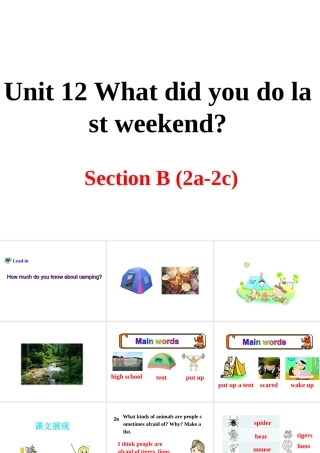 （安徽专版）春七年级英语下册 Unit 12 What did you do last weekend Section B（第2课时）教学课件 （新版）人教新目标版-（新版）人教新目标版初中七年级下册英语课件