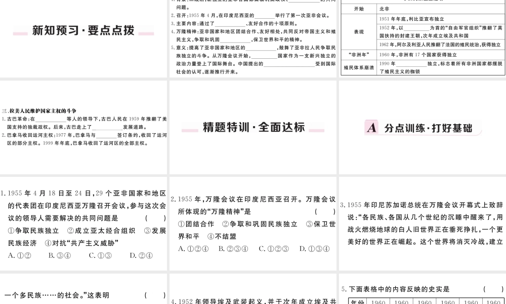 （安徽专版）九年级历史下册 第五单元 二战后的世界变化 第19课 亚非拉国家的新发展习题课件 新人教版-新人教版初中九年级下册历史课件