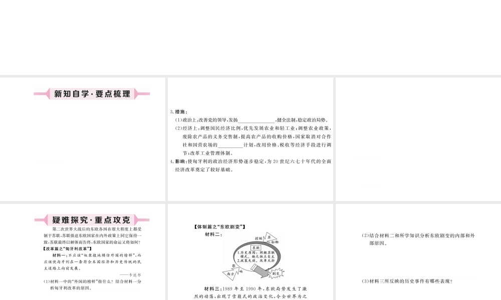 （安徽专版）九年级历史下册 第五单元 社会主义国家的改革与演变 第11课 东欧社会主义国家的改革与演变同步测试课件 新人教版-新人教版初中九年级下册历史课件