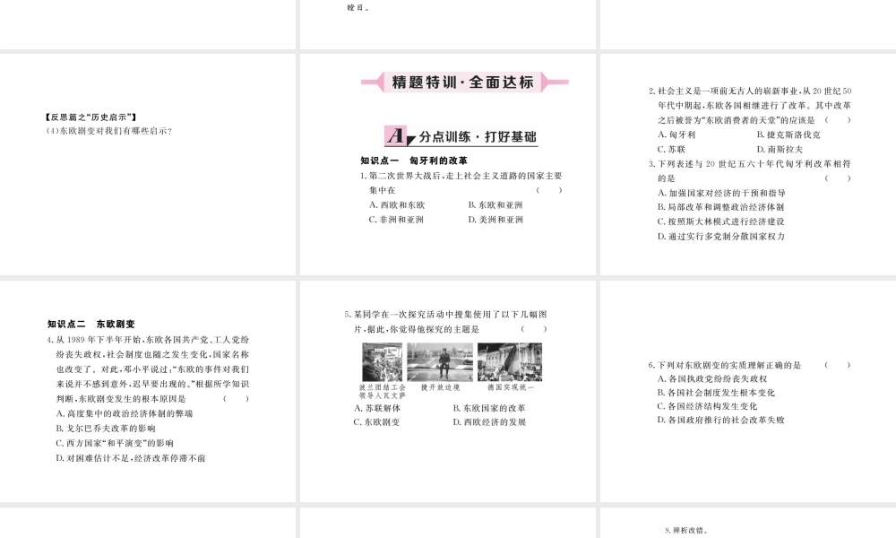 （安徽专版）九年级历史下册 第五单元 社会主义国家的改革与演变 第11课 东欧社会主义国家的改革与演变同步测试课件 新人教版-新人教版初中九年级下册历史课件