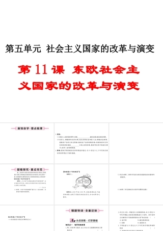 （安徽专版）九年级历史下册 第五单元 社会主义国家的改革与演变 第11课 东欧社会主义国家的改革与演变同步测试课件 新人教版-新人教版初中九年级下册历史课件