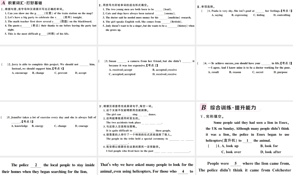 （安徽专版）秋九年级英语全册 Unit 8 It must belong to Carla第四课时习题课件（新版）人教新目标版-（新版）人教新目标版初中九年级全册英语课件