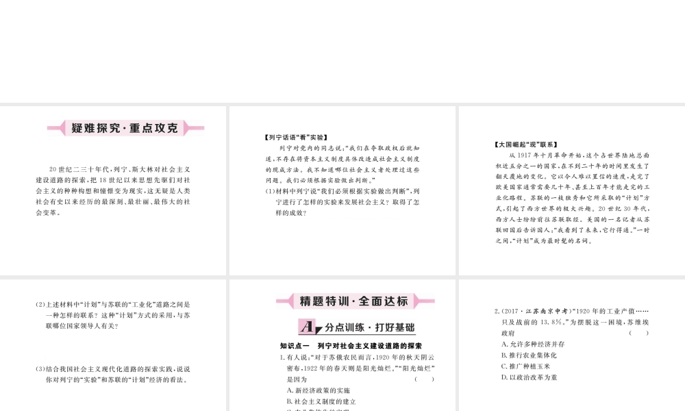 （安徽专版）九年级历史下册 第一单元 苏联社会主义的探索 第2课 对社会主义道路的探索同步测试课件 新人教版-新人教版初中九年级下册历史课件