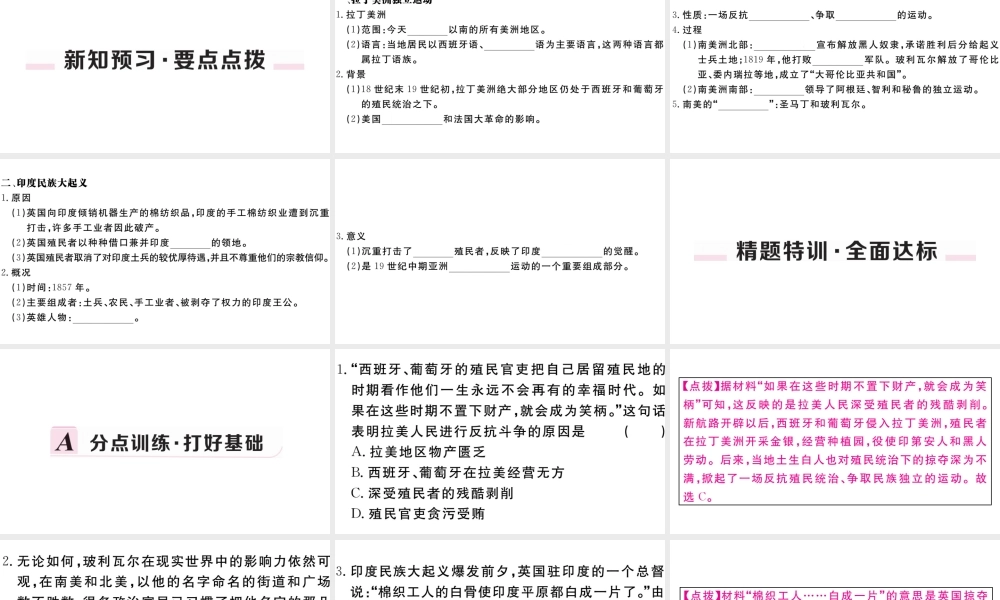 （安徽专版）九年级历史下册 第一单元 殖民地人民的反抗与资本主义制度的扩展 第1课 殖民地人民的反抗斗争习题课件 新人教版-新人教版初中九年级下册历史课件