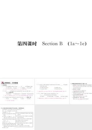 （安徽专版）九年级英语全册 Unit 7 Teenagers should be allowed to choose their own clothes（第4课时）习题课件 （新版）人教新目标版-（新版）人教新目标版初中九年级全册英语课件