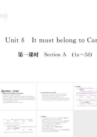 （安徽专版）九年级英语全册 Unit 8 It must belong to Carla（第1课时）习题课件 （新版）人教新目标版-（新版）人教新目标版初中九年级全册英语课件