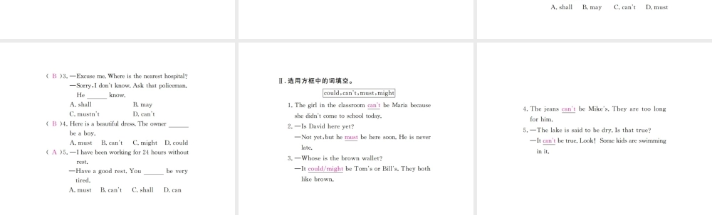 （安徽专版）九年级英语全册 Unit 8 It must belong to Carla（第3课时）习题课件 （新版）人教新目标版-（新版）人教新目标版初中九年级全册英语课件