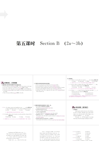 （安徽专版）九年级英语全册 Unit 8 It must belong to Carla（第5课时）习题课件 （新版）人教新目标版-（新版）人教新目标版初中九年级全册英语课件