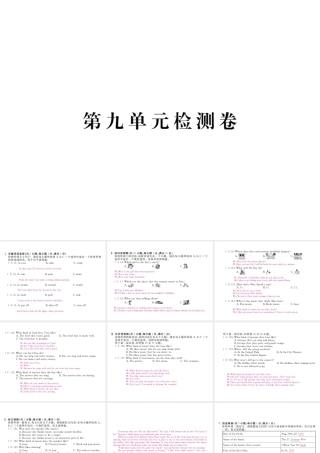 （安徽专版）九年级英语全册 Unit 9 I like music that I can dance to检测卷课件 （新版）人教新目标版-（新版）人教新目标版初中九年级全册英语课件