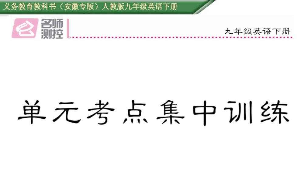 （安徽专版）秋九年级英语全册 Unit 12 Life is full of the unexpected考点集中训练课件 （新版）人教新目标版-（新版）人教新目标版初中九年级全册英语课件