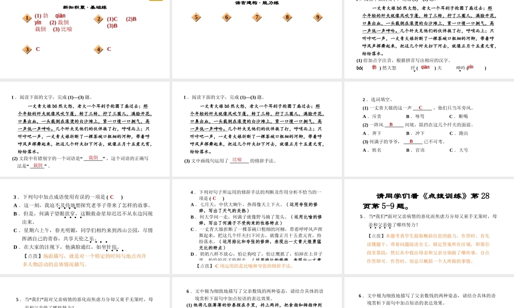（安徽专版）九年级语文下册 第二单元 8 蒲柳人家（节选）课件 新人教版-新人教版初中九年级下册语文课件