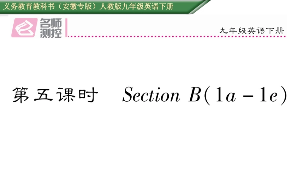 （安徽专版）秋九年级英语全册 Unit 13 We’re trying to save the earth（第5课时）作业课件 （新版）人教新目标版-（新版）人教新目标版初中九年级全册英语课件