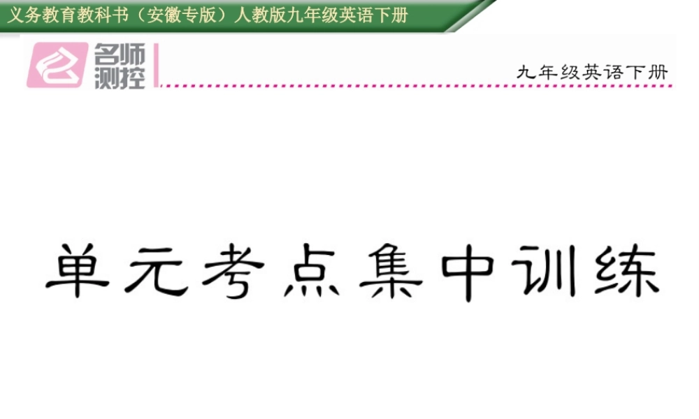 （安徽专版）秋九年级英语全册 Unit 13 We’re trying to save the earth考点集中训练课件 （新版）人教新目标版-（新版）人教新目标版初中九年级全册英语课件