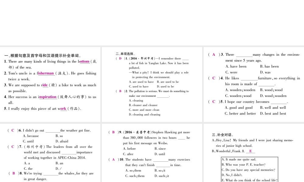 （安徽专版）秋九年级英语全册 Unit 13 We’re trying to save the earth双休作业（三）课件 （新版）人教新目标版-（新版）人教新目标版初中九年级全册英语课件