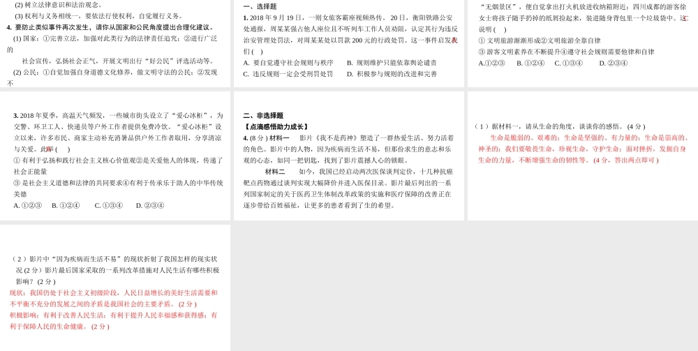 （安徽专版）中考道德与法治复习 第二部分 热点专题突破 专题一 热词、热议话题课件-人教版初中九年级全册政治课件