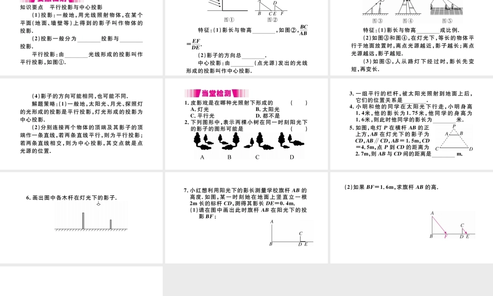 （安徽级数学下册 第29章 投影与视图 29.1 投影（第1课时 平行投影与中心投影）课件（新版）新人教版-（新版）新人教级下册数学课件
