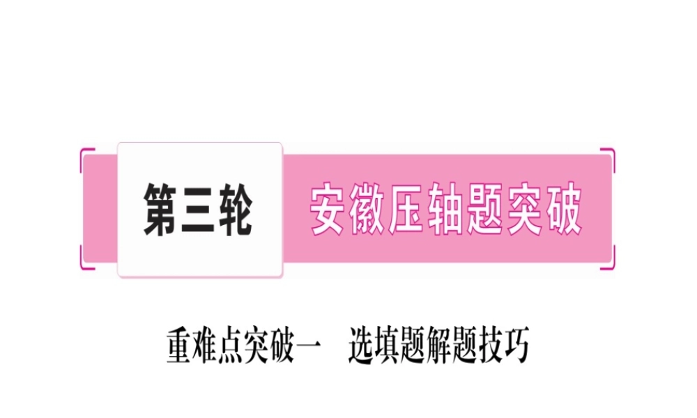 （安徽专版）中考数学总复习 第三轮 压轴题突破 重难点突破1 选择题解题技巧课件-人教版初中九年级全册数学课件