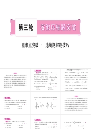 （安徽专版）中考数学总复习 第三轮 压轴题突破 重难点突破1 选择题解题技巧课件-人教版初中九年级全册数学课件