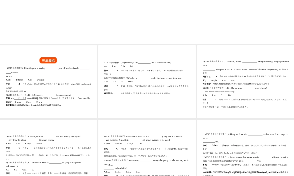 （安徽地区）中考英语复习 附录一 冠词（试卷部分）课件-人教版初中九年级全册英语课件