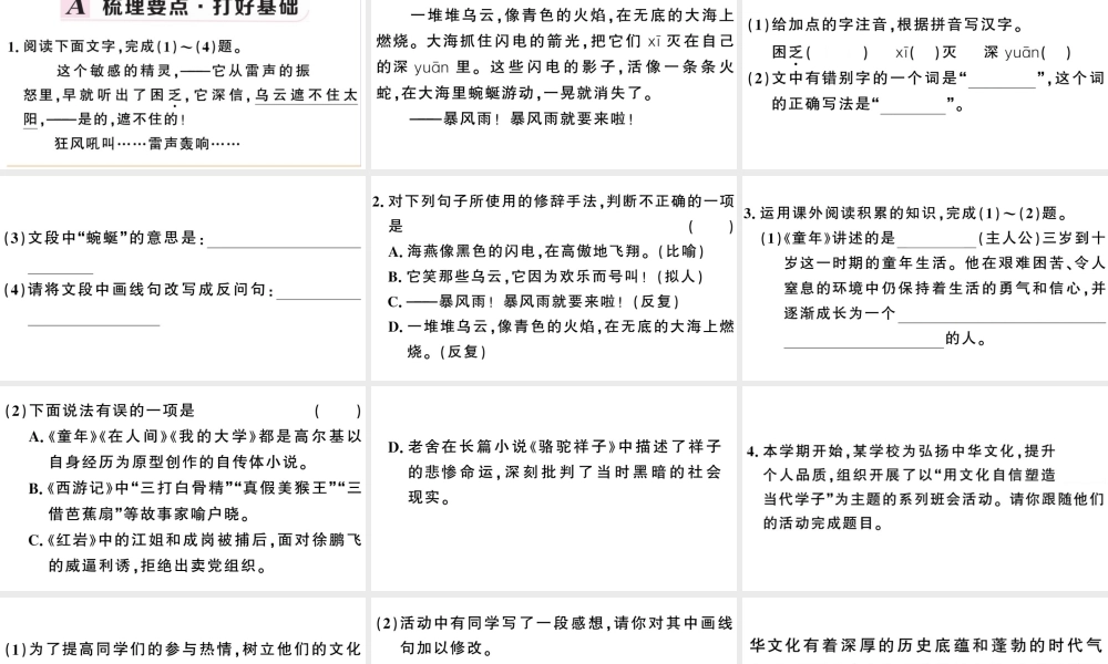 （安徽专用）九年级语文下册 第一单元 4 海燕习题课件 新人教版-新人教版初中九年级下册语文课件