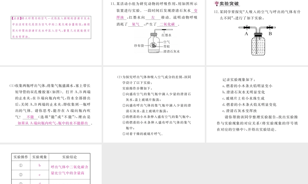 （安徽专用）秋九年级化学上册 1 走进化学世界 1.2 第2课时 对人体吸入的空气和呼出的气体的探究练习课件 （新版）新人教版-（新版）新人教版初中九年级上册化学课件