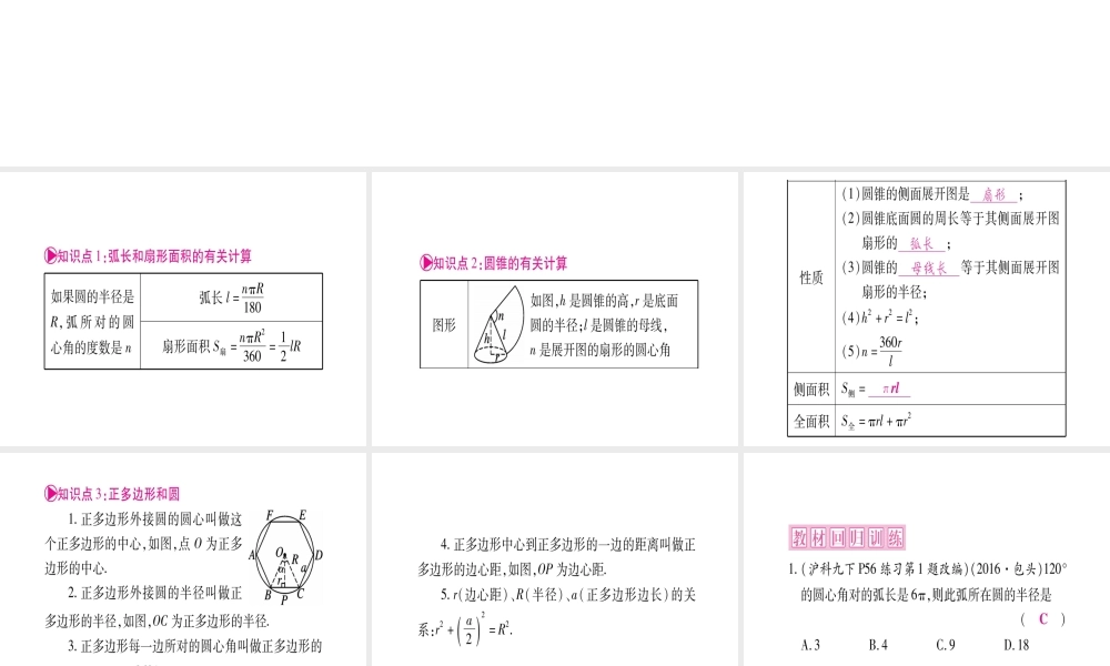 （安徽专版）中考数学总复习 第一轮 考点系统复习 第6章 圆 第3节 与圆有关的计算课件-人教级全册数学课件