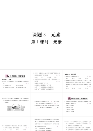 （安徽专用）秋九年级化学上册 3 物质构成的奥秘 3.3 第1课时 元素练习课件 （新版）新人教版-（新版）新人教版初中九年级上册化学课件