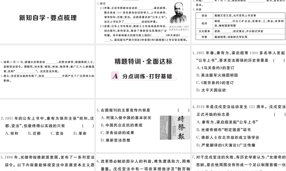 （安徽专版）秋八年级历史上册 第二单元 近代化的早期探索与民族危机的加剧 6 戊戌变法习题课件 新人教版-新人教版初中八年级上册历史课件