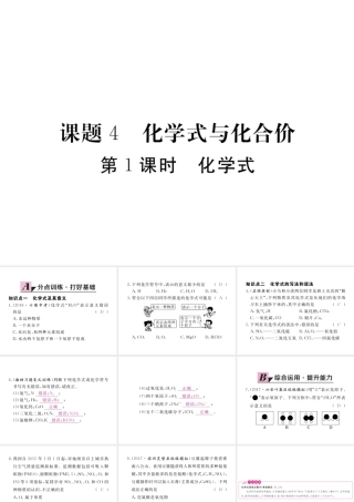 （安徽专用）秋九年级化学上册 4 自然界的水 4.4 第1课时 化学式练习课件 （新版）新人教版-（新版）新人教版初中九年级上册化学课件
