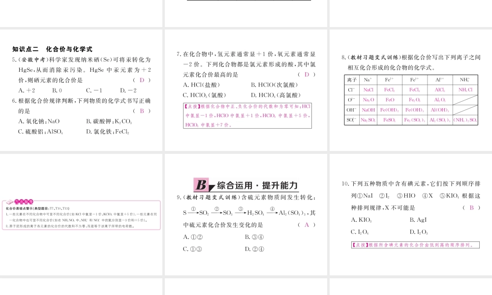 （安徽专用）秋九年级化学上册 4 自然界的水 4.4 第2课时 化合价练习课件 （新版）新人教版-（新版）新人教版初中九年级上册化学课件