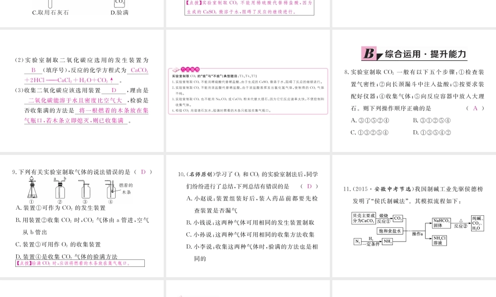 （安徽专用）秋九年级化学上册 6 碳和碳的氧化物 6.2 二氧化碳制取的研究练习课件 （新版）新人教版-（新版）新人教版初中九年级上册化学课件