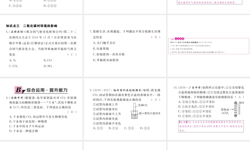 （安徽专用）秋九年级化学上册 6 碳和碳的氧化物 6.3 第1课时 二氧化碳练习课件 （新版）新人教版-（新版）新人教版初中九年级上册化学课件