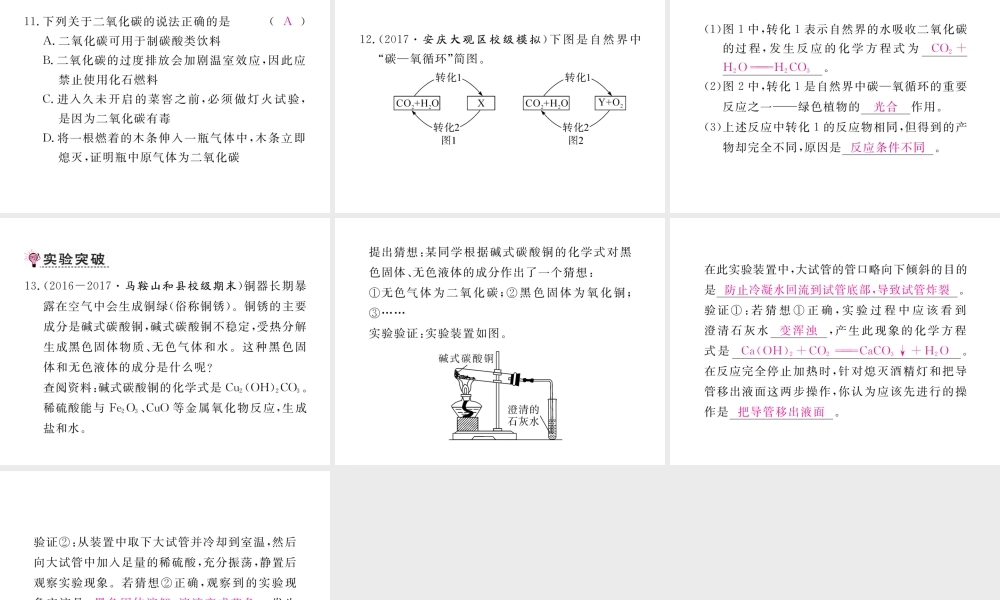 （安徽专用）秋九年级化学上册 6 碳和碳的氧化物 6.3 第1课时 二氧化碳练习课件 （新版）新人教版-（新版）新人教版初中九年级上册化学课件