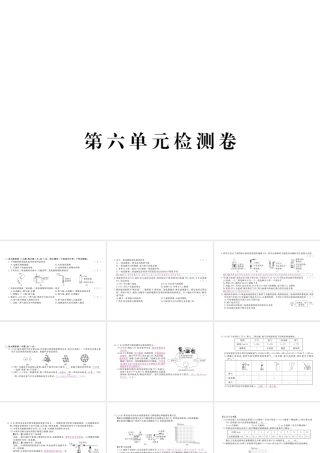 （安徽专用）秋九年级化学上册 6 碳和碳的氧化物检测卷课件 （新版）新人教版-（新版）新人教版初中九年级上册化学课件