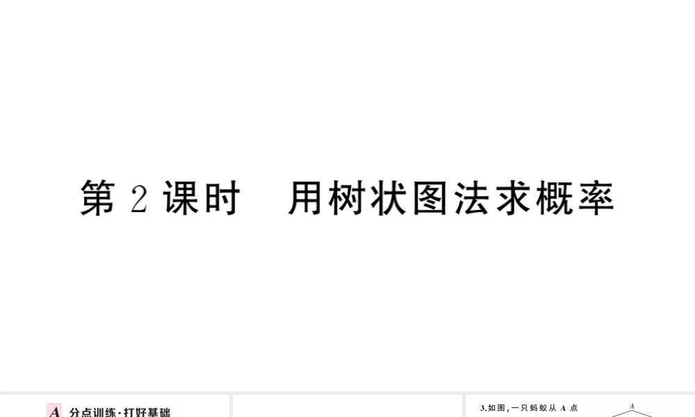 （安徽级数学上册 第25章 概率初步 25.2 用列举法求概率第2课时 用树状图法求概率课件 （新版）新人教版-（新版）新人教级上册数学课件