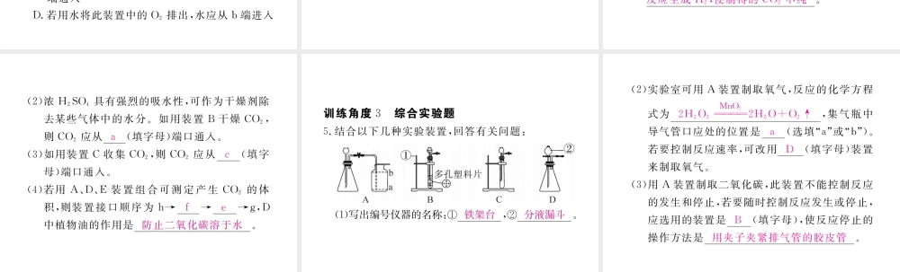 （安徽专用）秋九年级化学上册 专题训练（六）实验室中气体的检验和除杂课件 （新版）新人教版-（新版）新人教版初中九年级上册化学课件