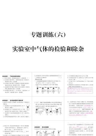 （安徽专用）秋九年级化学上册 专题训练（六）实验室中气体的检验和除杂课件 （新版）新人教版-（新版）新人教版初中九年级上册化学课件